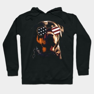 Pint-sized American Flag Rottweiler Whispers, Tee Triumph Extravaganza Hoodie